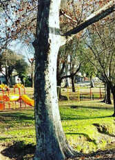 Foto 3 de la galería de Duplex Alfonsina en Villa Carlos Paz