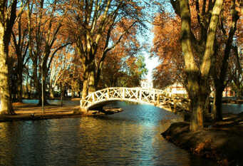 Foto 1 de la galería de Mi refugio - zona centro en Ciudad De Córdoba