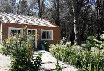 Foto 1 de la galería de Come Nonthue- Mar Azul. en Mar Azul