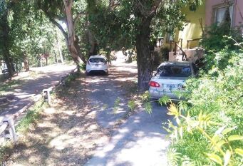 Foto 1 de la galería de Cabañas Lomas Del Bosque en Claromeco
