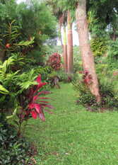 Foto 2 de la galería de Ñaú Tatá en Obera