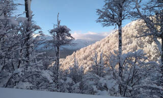 Foto 1 de Cabañas Entre Lagos y Montañas en San Carlos De Bariloche