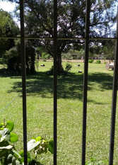 Foto 3 de Quinta  El DESCANSO en Ciudad De Salta