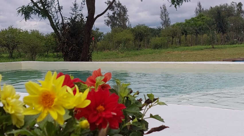 Foto principal de Quinta  El DESCANSO en Ciudad De Salta