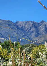 Foto 4 de La Dorada en Villa De Merlo