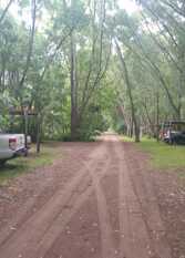 Foto 2 de la galería de Prisol en Costa del Este