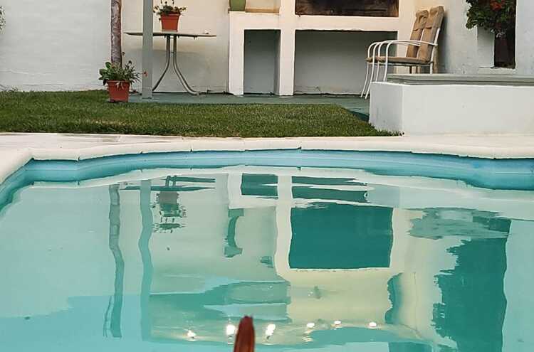 Foto principal de Casitas Virginia c/ Pileta Privada en San Rafael