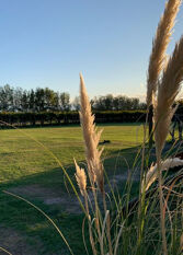 Foto 2 de la galería de Finca La Robertita en Santa Lucia