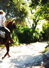 Foto 4 de Cabañas La Posta del Gaucho - San Marcos Sierras en San Marcos Sierras