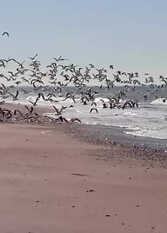 Foto 2 de la galería de Casa Mytilus. Frente de mar departamentos en Las Grutas