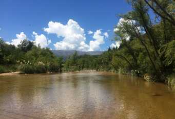 Foto 1 de la galería de Bosque y Rio Cabañas en Nono