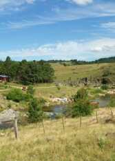 Foto 3 de la galería de La Playita Cabañas en Intiyaco