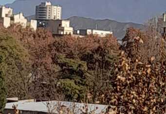 Foto 1 de la galería de Departamento Mendoza en Ciudad De Mendoza