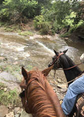 Foto 2 de la galería de Cabaña Lo de Claudia en Rio Ceballos