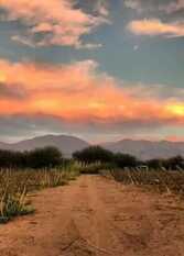 Foto 2 de la galería de Estancia Chimpa en Cafayate