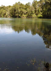 Foto 2 de la galería de Departamento Luxury Patagonia en San Martín De Los Andes