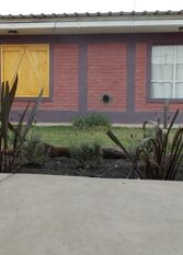Foto 3 de la galería de Hospedaje Las Cortaderas en La Paz