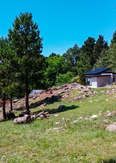 Foto 2 de la galería de Finca Del Campito en Villa Berna