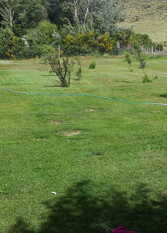 Foto 3 de la galería de La casita del Lago en Junin De Los Andes