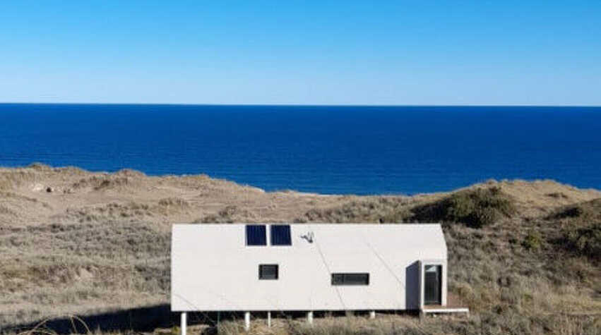 Foto principal de Golondrina de mar en Bahía Creek