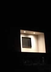 Foto 2 de la galería de Golondrina de mar en Bahía Creek