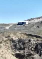 Foto 3 de la galería de Golondrina de mar en Bahía Creek