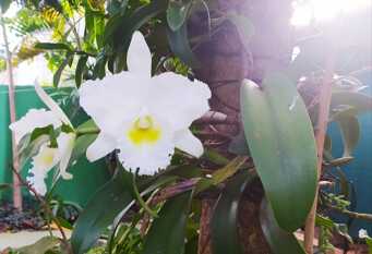 Foto 1 de la galería de Iguazú House en Puerto Iguazú