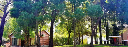 Foto 8 de Cabañas Sueños del Bosque NECOCHEA en Necochea