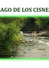 Foto 4 de Cabañas Sueños del Bosque NECOCHEA en Necochea