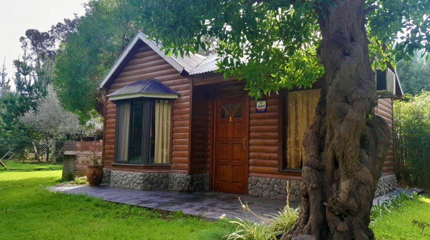 Foto principal de Cabañas Sueños del Bosque NECOCHEA en Necochea