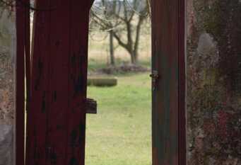 Foto 1 de la galería de Chacra La Rosadita   en Chascomus