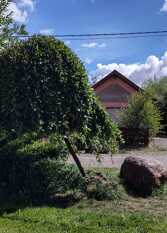 Foto 3 de la galería de Tío Cosa en Trevelin