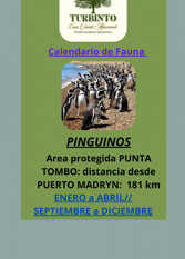 Foto 4 de TURBINTO ALQUILER TEMPORARIO POR DIA en Puerto Madryn