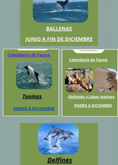 Foto 2 de la galería de TURBINTO ALQUILER TEMPORARIO POR DIA con piscina climatizada en Puerto Madryn