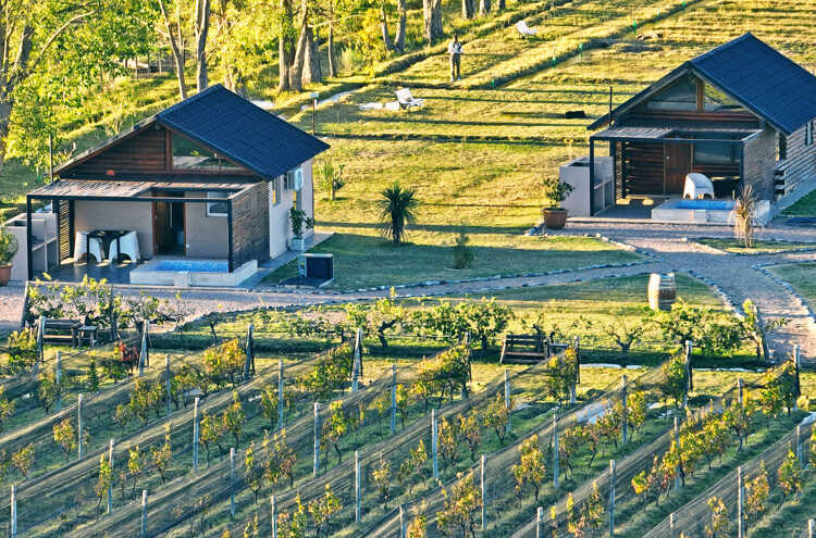 Foto principal de Martyniuk lodges entre viñedos en San Rafael