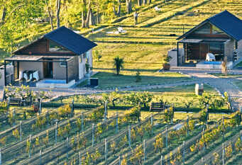 Foto 1 de la galería de Martyniuk lodges entre viñedos en San Rafael