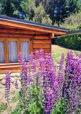 Foto 3 de la galería de POETAS en San Carlos De Bariloche