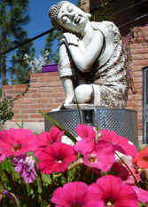 Foto 3 de la galería de Complejo Ten-Chi en Tanti