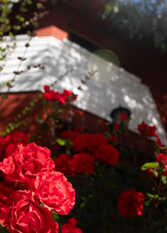 Foto 3 de la galería de Bungalows Maniu en San Carlos De Bariloche