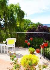 Foto 4 de Cabañas Las Pencas en Mina Clavero