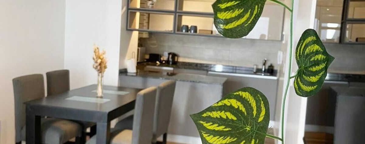 Foto principal de Calido Departamento en Palermo en Capital Federal