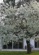 Foto 3 de la galería de del Chapaleofú Casa de Campo en Maria Ignacia Vela