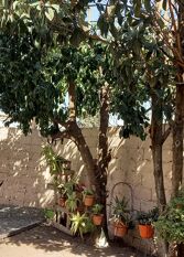 Foto 2 de la galería de Cardones Apart en Ciudad De Salta