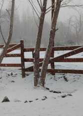 Foto 4 de Cabaña Puesto Kuyen en Las Vegas