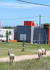 Foto 2 de la galería de Complejo Ironman en Mar Del Sur