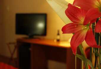 Foto 1 de la galería de Hotel Colon Junin en Junin