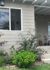 Foto 3 de la galería de Casa Salvia en Villa Giardino