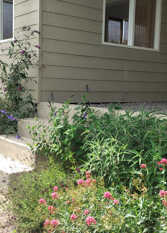 Foto 2 de la galería de Casa Salvia en Villa Giardino