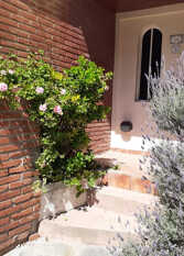 Foto 3 de la galería de Casa Estilo Duplex en Pinamar