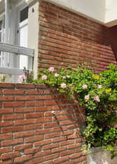 Foto 2 de la galería de Casa Estilo Duplex en Pinamar